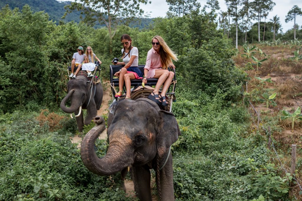 Go elephant riding